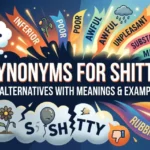 Synonyms for Shitty