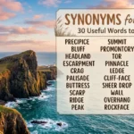 Synonyms for Cliff