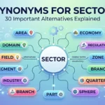 Synonyms for Sector