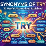 Synonyms of Try